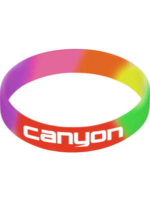 Printed Silicone Wristband- Rainbow with printing