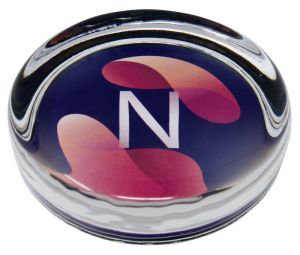 Branded Glass Paperweight