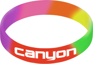 Printed Silicone Wristband- Rainbow with printing