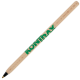 Woodstick Ballpen- Printed