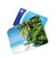 Oyster Card Holder