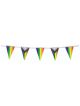 Printed Pride Triangular Indoor Bunting